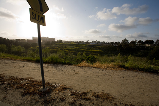 Looking west at the old Camp Matthews Rifle Range, University of California, San Diego, La Jolla, CA, 2008, archival inkjet print, 30" x 24", 2008 thumbnail-24