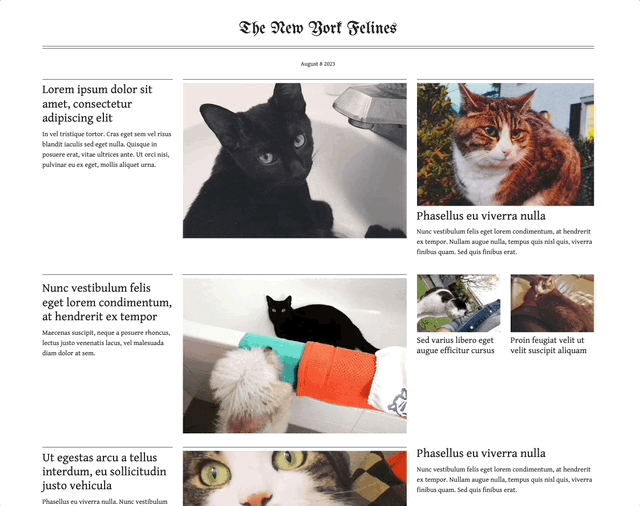 Critical Web Design by xtine burrough and Owen Mundy thumbnail-5